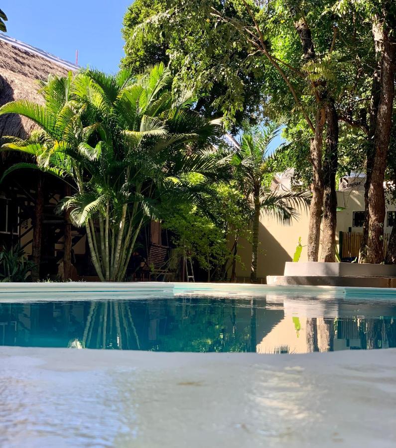 Ammare Hotel Boutique بلايا ديل كارمن المظهر الخارجي الصورة